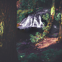 Buy canvas prints of Hidden Gem Arbirlot Waterfall Scotland by DAVID FRANCIS