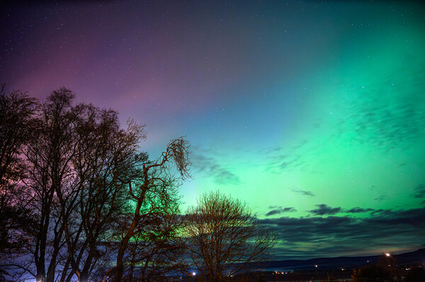 Brilliant Aurora over Laurencekirk Scotland  Picture Board by DAVID FRANCIS