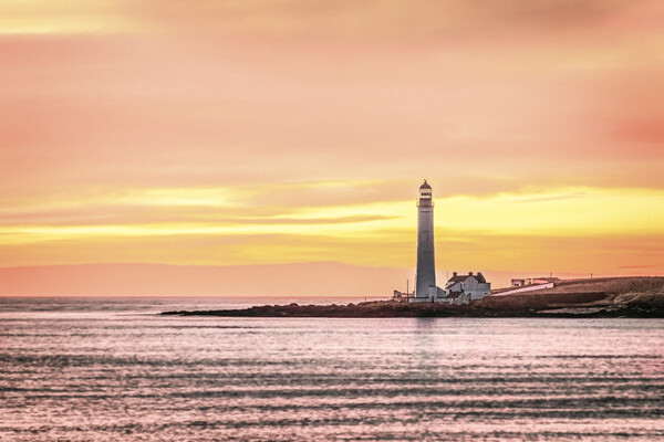 Sunrise at Scurdie Ness Lighthouse in Montrose Picture Board by DAVID FRANCIS