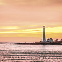 Buy canvas prints of Sunrise at Scurdie Ness Lighthouse in Montrose by DAVID FRANCIS
