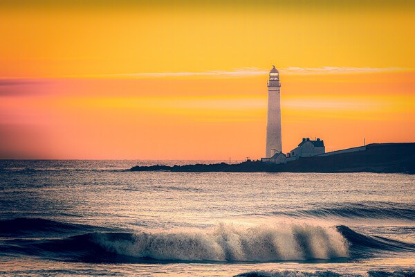 Sunrise at Scurdie Ness Lighthouse Picture Board by DAVID FRANCIS