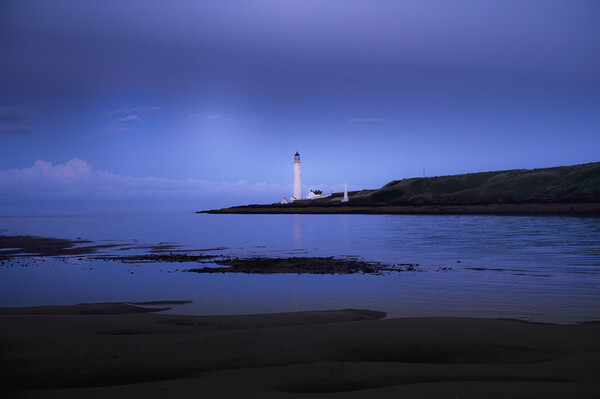 Scurdie Ness Lighthouse at Montrose Picture Board by DAVID FRANCIS