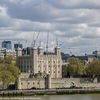 Buy canvas prints of Her Majesty's Royal Palace and Fortress of the Tower of London by Rose Sicily