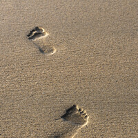 Buy canvas prints of Footprints in the sand on Fistral Beach in Newquay by Gordon Scammell