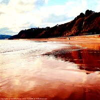 Buy canvas prints of Dawlish beach morning tide  by Timothy Finlan