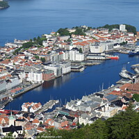 Buy canvas prints of Bergen Harbour by Chris Morgat