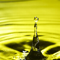 Buy canvas prints of Yellow Droplet by Drew Gardner