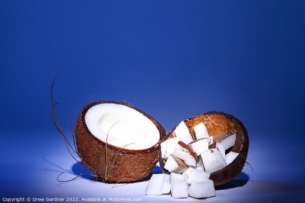 Coconut Picture Board by Drew Gardner