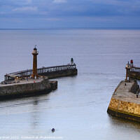 Buy canvas prints of Whitby Piers  by Drew Gardner