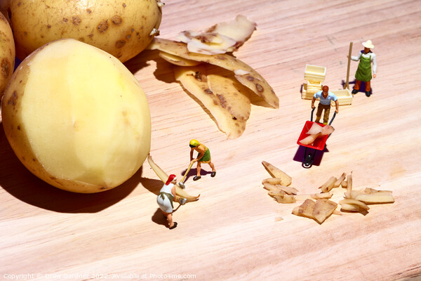 Potato Peelings Picture Board by Drew Gardner