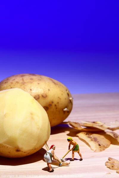 Potato Peelings Picture Board by Drew Gardner