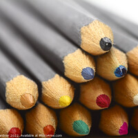 Buy canvas prints of Wood Pencils by Drew Gardner
