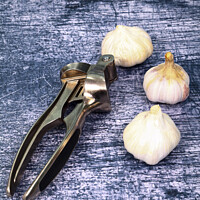 Buy canvas prints of Garlic by Drew Gardner