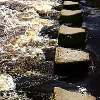 Buy canvas prints of Stepping Stones by Drew Gardner