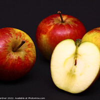 Buy canvas prints of Apples by Drew Gardner