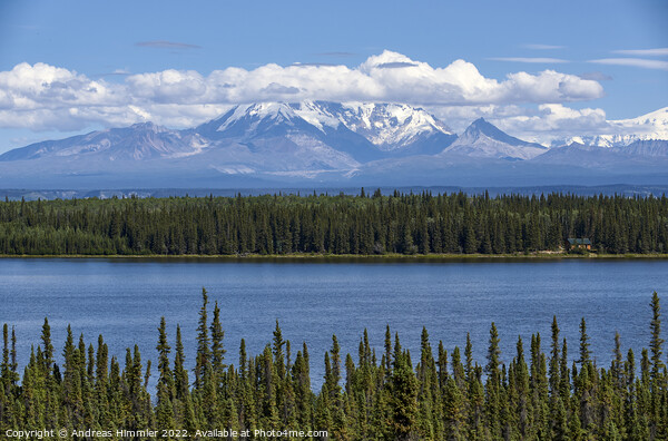 Willow Lake in front of Wrangell Mountains Picture Board by Andreas Himmler