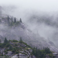 Buy canvas prints of Pines on rounded cliffs in morning mist by Andreas Himmler