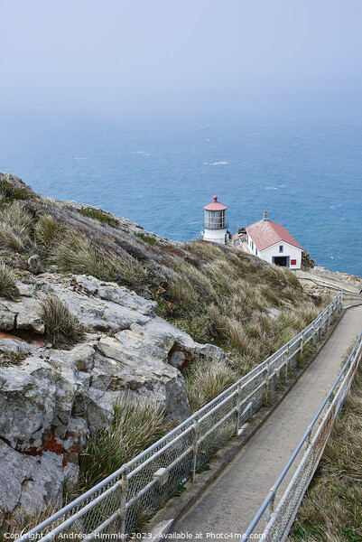 Stairway to Point Reyes Lighthouse Picture Board by Andreas Himmler