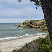Buy canvas prints of Cove Beach Ano Nuevo State Park by Andreas Himmler
