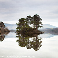 Buy canvas prints of Lake District - Otter Island on Derwent Water by Will Ireland Photography