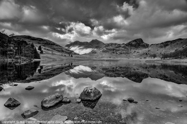 Lake District - Blea Tarn. Mono Picture Board by Will Ireland Photography