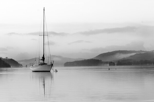 Lake District – Windermere Morning with Yacht  Picture Board by Will Ireland Photography