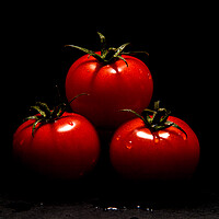 Buy canvas prints of  Tomatoes  by Will Ireland Photography