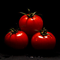 Buy canvas prints of  Tomatoes  by Will Ireland Photography