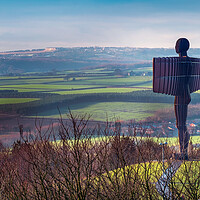 Buy canvas prints of Angel of the North - Gateshead by Will Ireland Photography
