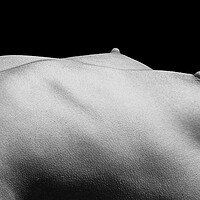 Buy canvas prints of Fine art female bodyscape by Will Ireland Photography