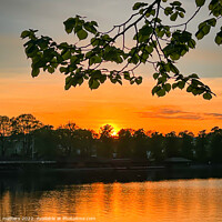 Buy canvas prints of Roath park lake sunset by nic 744