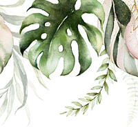 Buy canvas prints of Green and blush tropical leaves on white background. Watercolor hand painted seamless border. Floral tropic illustration. Jungle foliage pattern. by ANASS SODKI