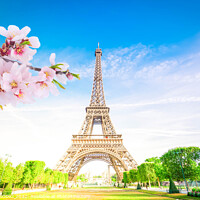 Buy canvas prints of Paris Eiffel Tower over green grass lane and trees in Paris, France. Eiffel Tower is one of the most iconic landmarks of Paris at spring by ANASS SODKI