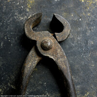 Buy canvas prints of Closeup shot of rusted old nippers by Bernard Jaubert