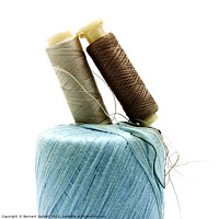 Buy canvas prints of Sewing threads by Bernard Jaubert