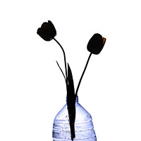 Buy canvas prints of Tulips in a plastic bottle by Bernard Jaubert