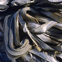 Buy canvas prints of Compressed pile of paper products by Bernard Jaubert