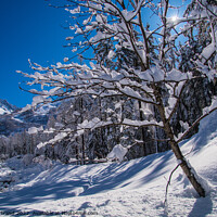 Buy canvas prints of winter landscape in the french alps by louis bertrand