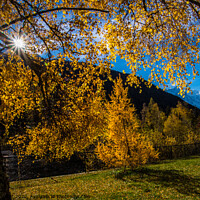 Buy canvas prints of landscape of the french alps in autumn by louis bertrand