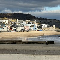 Buy canvas prints of Lyme Regis Coastal Panorama by Carnegie 42