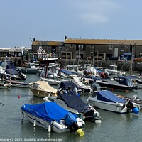 Buy canvas prints of Quintessential Lyme Regis Harbour Scene by Carnegie 42
