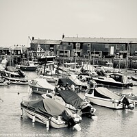 Buy canvas prints of Tranquil Lyme Regis Harbour Panorama by Carnegie 42