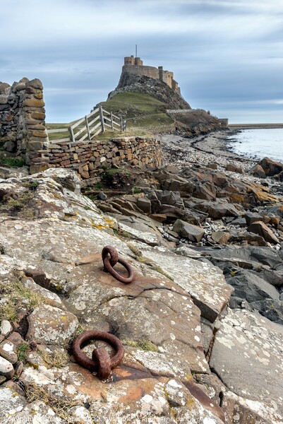 Lindisfarne Castle Holy island Northumberland UK Picture Board by Craig Yates