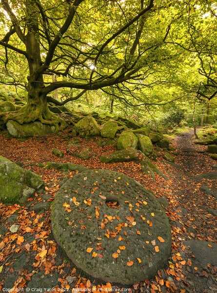 Padley Gorge Millstone in Autumn. Picture Board by Craig Yates