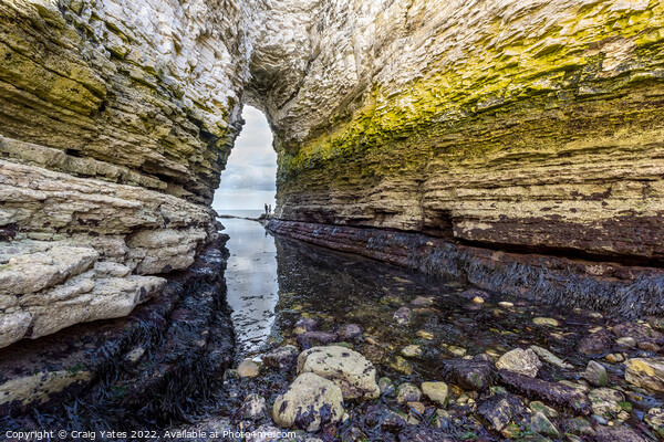 Selwicks Bay Rock Arch. Flamborough Head. Picture Board by Craig Yates