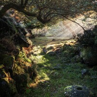 Buy canvas prints of Padley Gorge Morning Light by Craig Yates