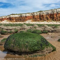 Buy canvas prints of Hunstanton Beach and Cliffs by Craig Yates