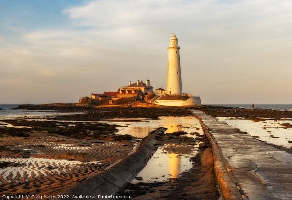 St Mary's Lighthouse Low Tide Picture Board by Craig Yates