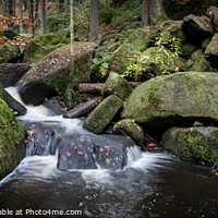 Buy canvas prints of Autumn Wyming Brook Nature Reserve. by Craig Yates
