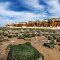 Buy canvas prints of Hunstanton Beach and Cliffs. by Craig Yates